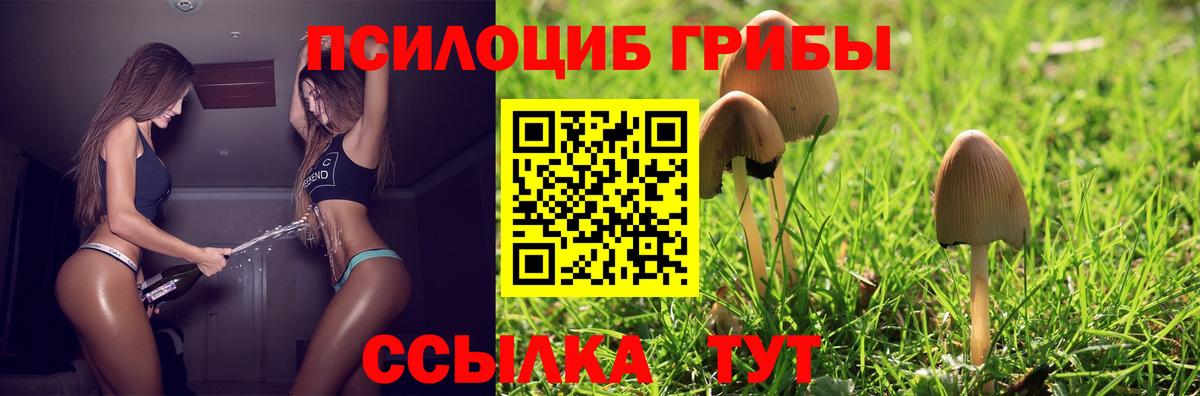 Галлюциногенные грибы Psilocybine cubensis  Псилоцибиновые грибы прущие грибы  Хабаровск  Вход с VPN 